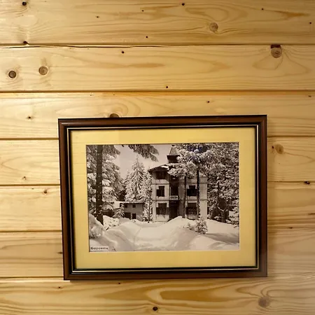 Stylish Alpine Tirol ボロヴェッツ