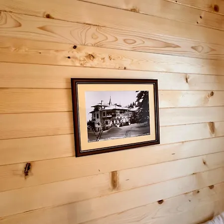 Stylish Alpine Tirol Villa Borovets