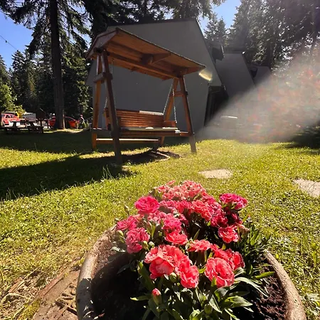 Stylish Alpine Tirol Villa *